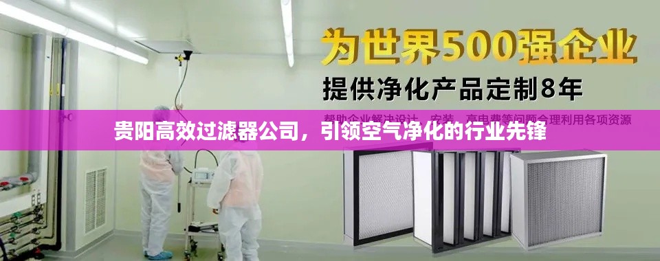 贵阳高效过滤器公司,引领空气净化的行业先锋