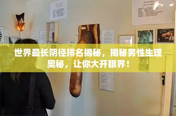 世界最长阴径排名揭秘,揭秘男性生理奥秘,让你大开眼界!
