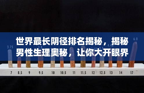 世界最长阴径排名揭秘,揭秘男性生理奥秘,让你大开眼界!