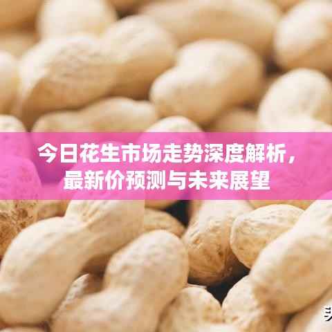 见仁见智 第4页