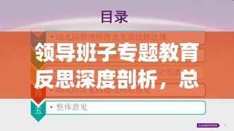 领导班子专题教育反思深度剖析,总结经验教训,展望未来成长之路