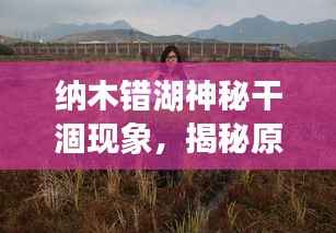 纳木错湖神秘干涸现象,揭秘原因,引发广泛关注