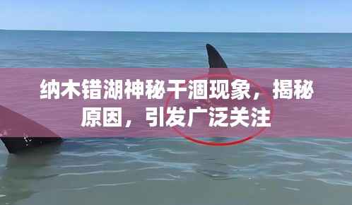 纳木错湖神秘干涸现象,揭秘原因,引发广泛关注