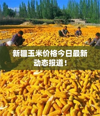 韦编三绝 第4页