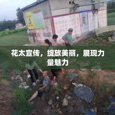 花太宣传，绽放美丽，展现力量魅力