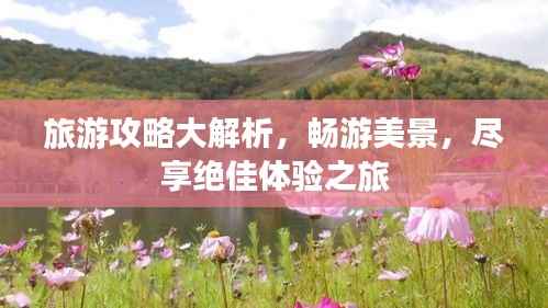 鸟骇鼠窜 第4页