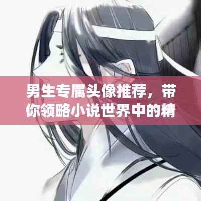 男生专属头像推荐,带你领略小说世界中的精彩风采
