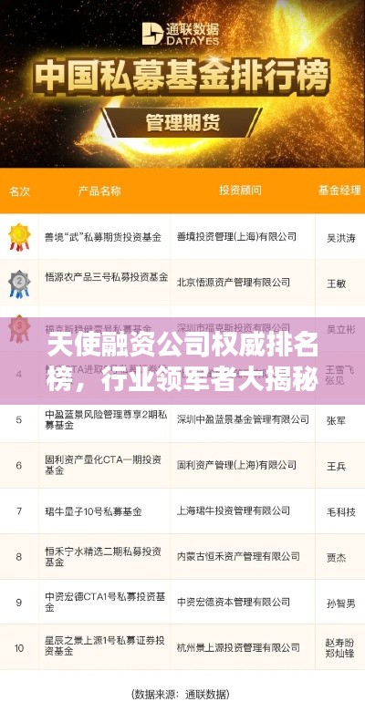 天使融资公司权威排名榜,行业领军者大揭秘!