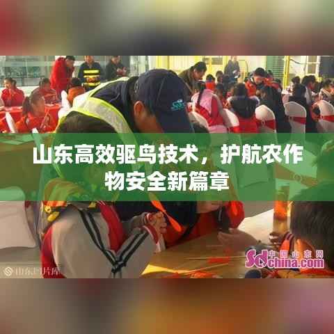 山东高效驱鸟技术,护航农作物安全新篇章