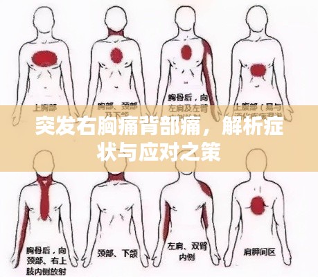 突发右胸痛背部痛,解析症状与应对之策