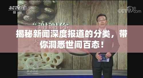 揭秘新闻深度报道的分类,带你洞悉世间百态!