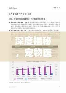 深度揭秘，宠物医生的专业之声——专业解读，深度报道