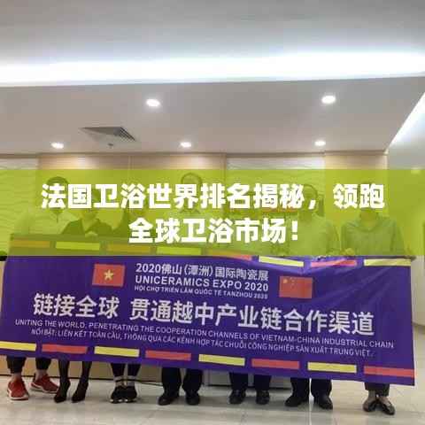 法国卫浴世界排名揭秘,领跑全球卫浴市场!