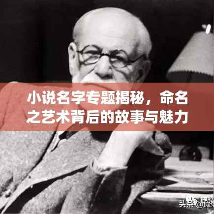 小说名字专题揭秘,命名之艺术背后的故事与魅力所在