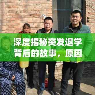 深度揭秘突发退学背后的故事,原因探究与应对策略