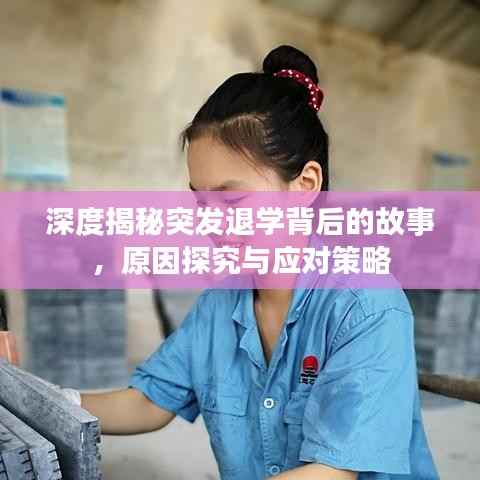深度揭秘突发退学背后的故事,原因探究与应对策略