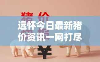 远怀今日最新猪价资讯一网打尽