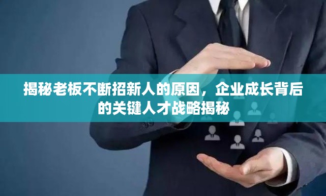 揭秘老板不断招新人的原因,企业成长背后的关键人才战略揭秘