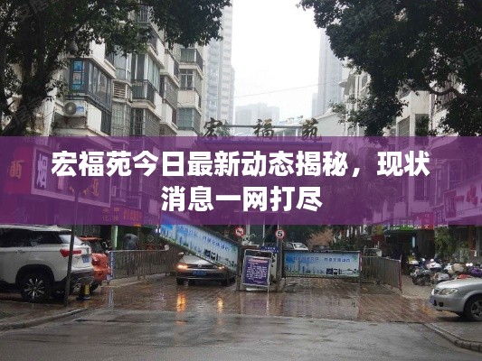 宏福苑今日最新动态揭秘,现状消息一网打尽