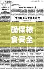 确保粮食安全的关键，落实粮食质检经费的重要性