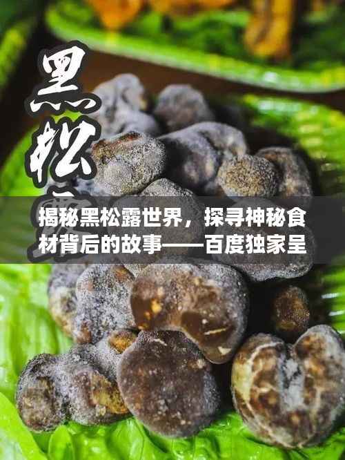 揭秘黑松露世界,探寻神秘食材背后的故事——百度独家呈现