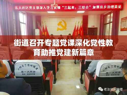 街道召开专题党课深化党性教育助推党建新篇章