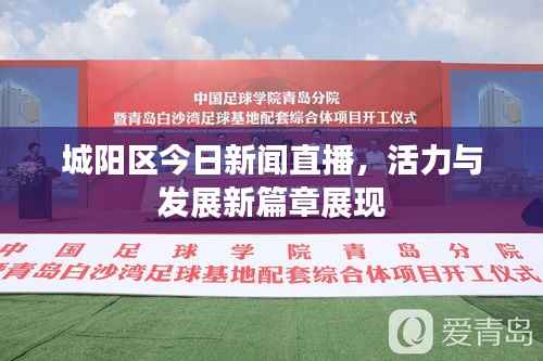 城阳区今日新闻直播,活力与发展新篇章展现