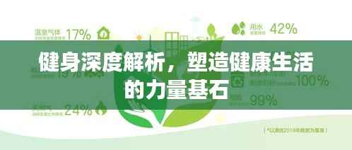 健身深度解析,塑造健康生活的力量基石