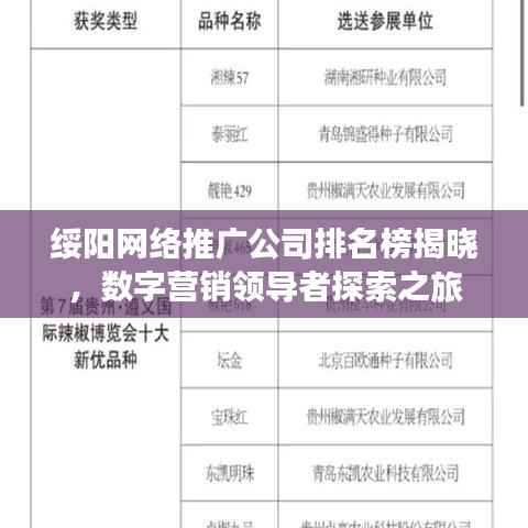 绥阳网络推广公司排名榜揭晓，数字营销领导者探索之旅