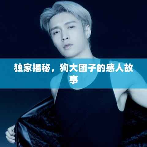 独家揭秘,狗大团子的感人故事