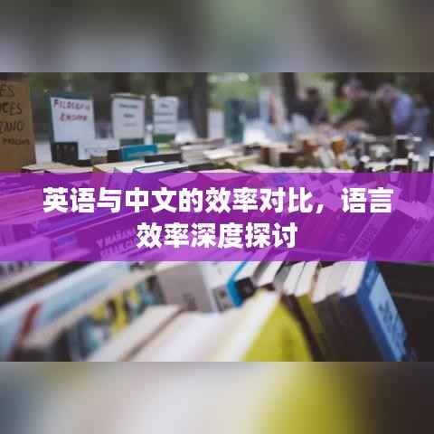 英语与中文的效率对比,语言效率深度探讨