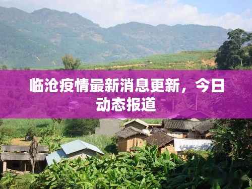 临沧疫情最新消息更新，今日动态报道