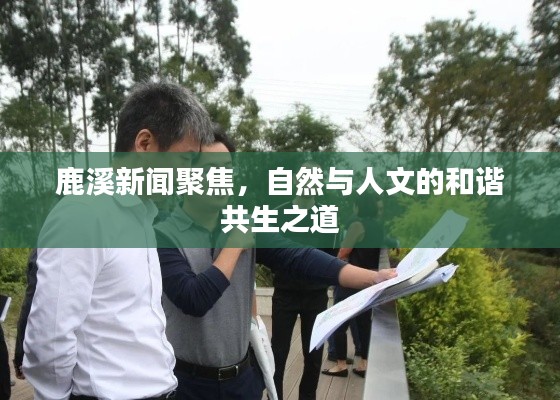 鹿溪新闻聚焦,自然与人文的和谐共生之道