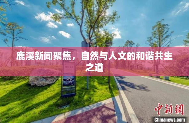 鹿溪新闻聚焦,自然与人文的和谐共生之道