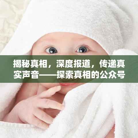 临危不惧 第5页