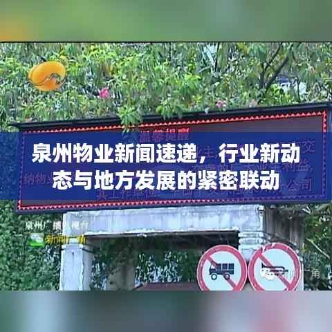 泉州物业新闻速递，行业新动态与地方发展的紧密联动
