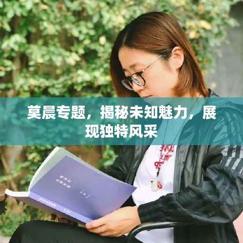 莫晨专题,揭秘未知魅力,展现独特风采