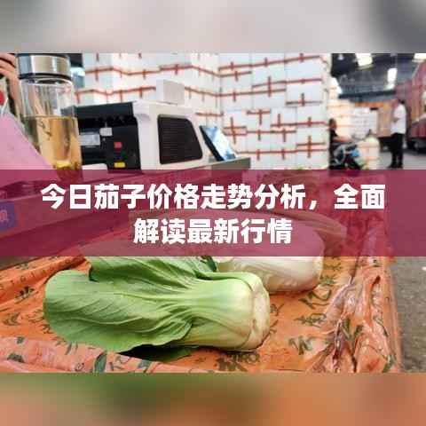 今日茄子价格走势分析，全面解读最新行情