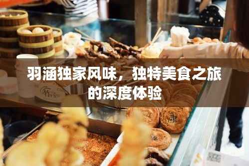 羽涵独家风味,独特美食之旅的深度体验
