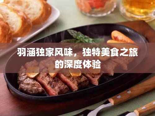 羽涵独家风味,独特美食之旅的深度体验