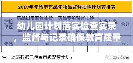 幼儿园计划落实检查实录,监督与记录确保教育质量提升