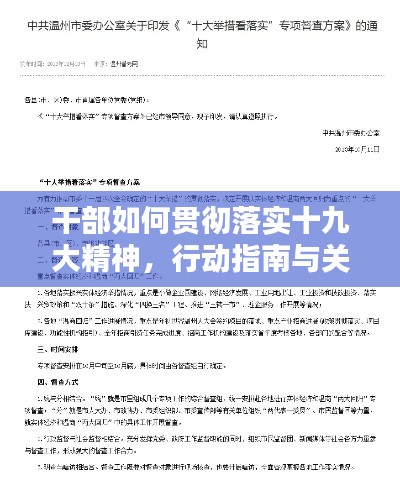 干部如何贯彻落实十九大精神,行动指南与关键举措