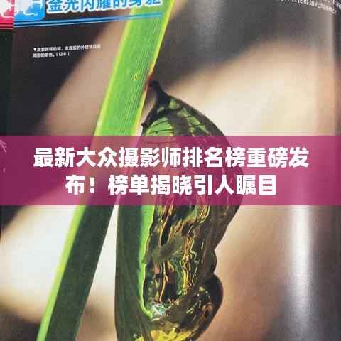 最新大众摄影师排名榜重磅发布!榜单揭晓引人瞩目