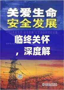 临终关怀，深度解读与报道，关爱生命最后一程