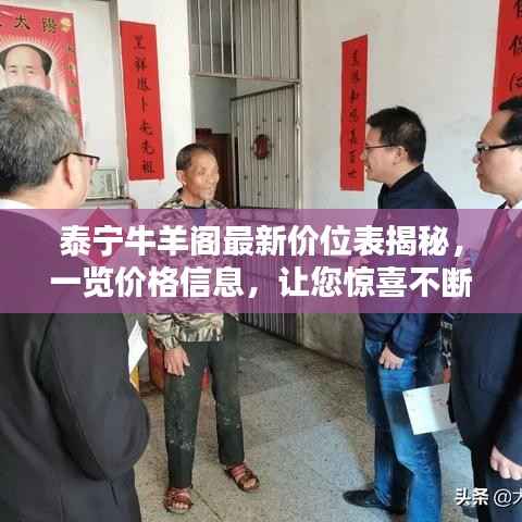 泰宁牛羊阁最新价位表揭秘，一览价格信息，让您惊喜不断！