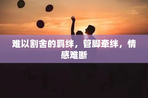 难以割舍的羁绊,管脚牵绊,情感难断