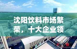 沈阳饮料市场繁荣,十大企业领航潮流趋势