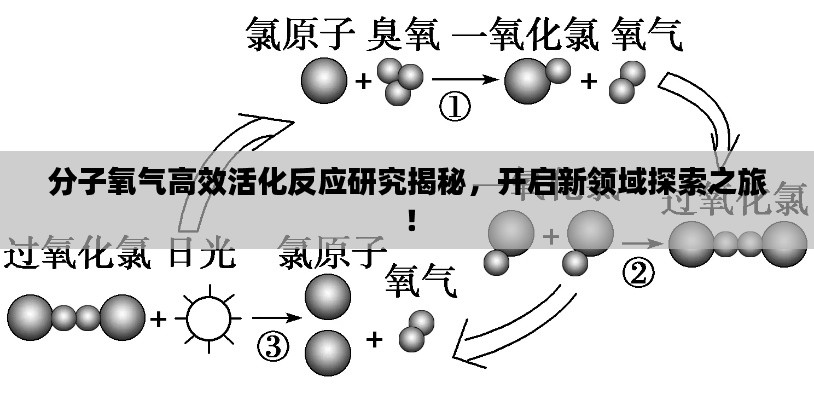 分子氧气高效活化反应研究揭秘,开启新领域探索之旅!