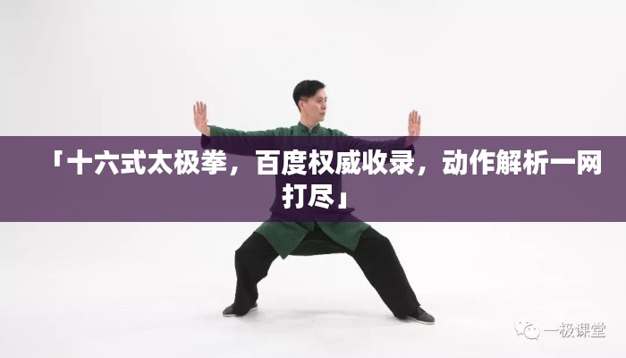 「十六式太极拳，百度权威收录，动作解析一网打尽」