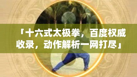 「十六式太极拳,百度权威收录,动作解析一网打尽」